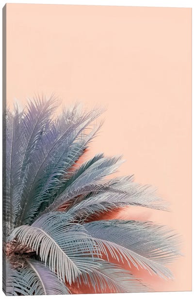 Blue Palms On Pink Canvas Art Print - Emanuela Carratoni