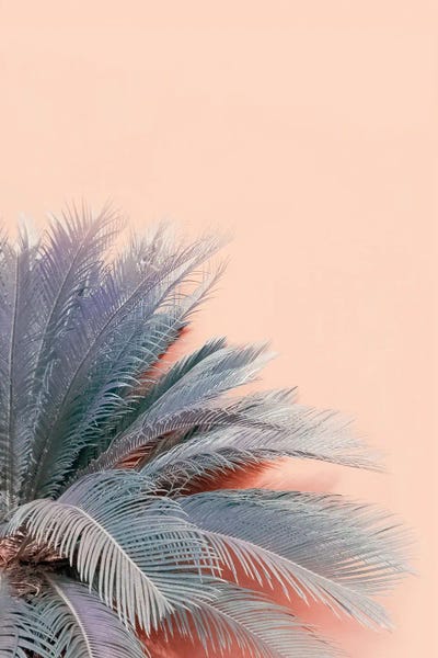 Tropical Leaves: Blue Palms On Pink by Emanuela Carratoni