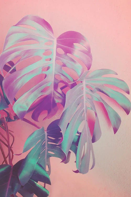 Growing Monstera by Emanuela Carratoni wall art