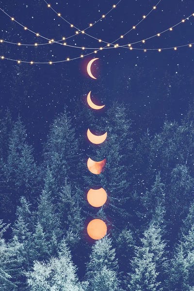 Pine Trees: Holiday Night by Emanuela Carratoni