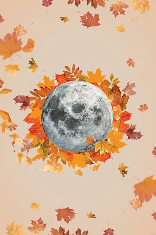 Autumnal Moon Theme