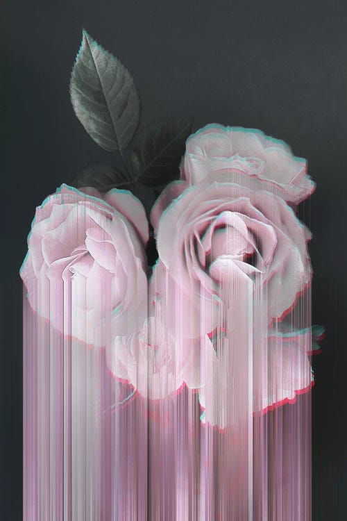 Fall In Rose by Emanuela Carratoni wall art