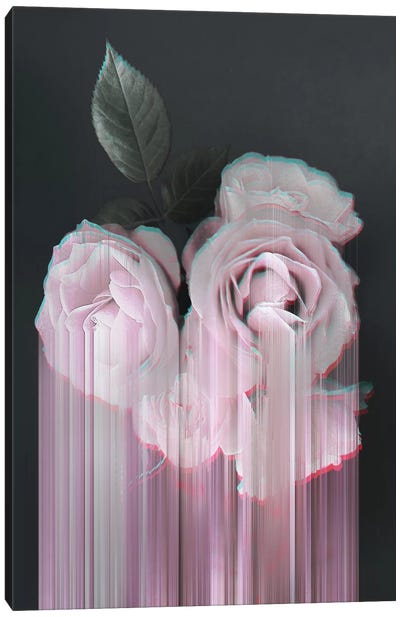 Fall In Rose Canvas Art Print - Emanuela Carratoni
