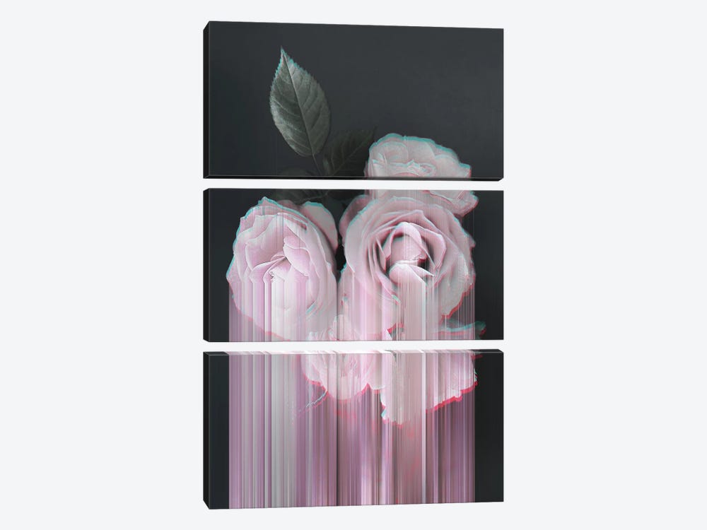 Fall In Rose by Emanuela Carratoni 3-piece Art Print