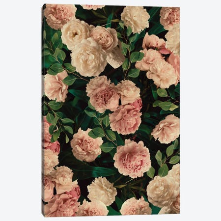 Blooming Flowers Canvas Print #CTI320} by Emanuela Carratoni Canvas Wall Art