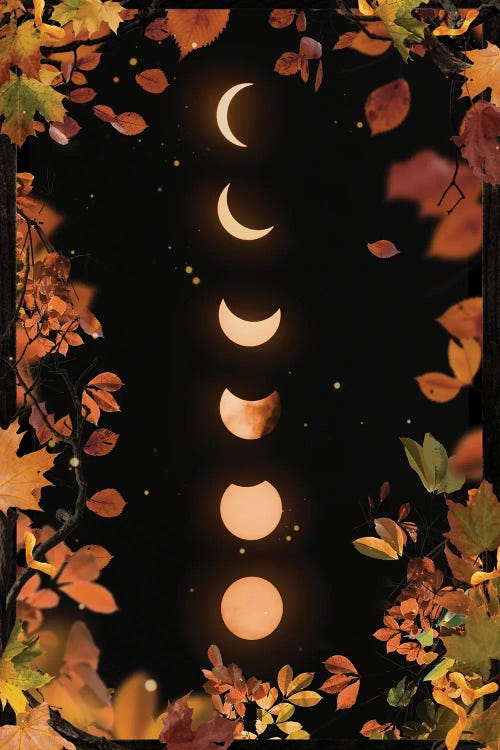 Autumnal Moon Phases by Emanuela Carratoni wall art