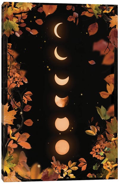 Autumnal Moon Phases Canvas Art Print - Emanuela Carratoni