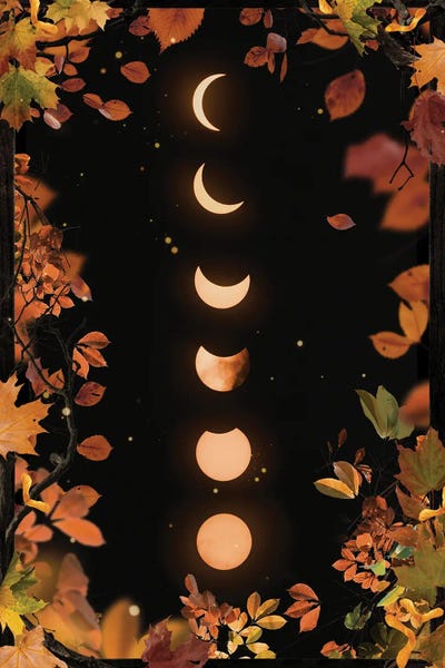 Emanuela Carratoni: Autumnal Moon Phases by Emanuela Carratoni