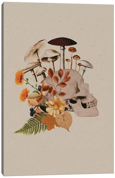 Autumnal Skull Canvas Art Print - Emanuela Carratoni