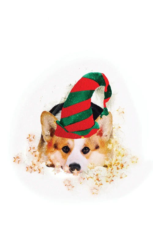 Corgi Santa’s Little Helper