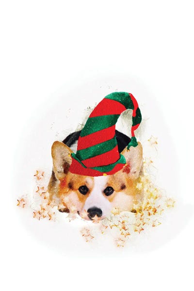 Corgis: Corgi Santa’s Little Helper by Emanuela Carratoni