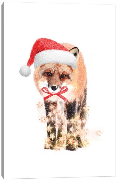 Christmas Fox Canvas Art Print - Emanuela Carratoni