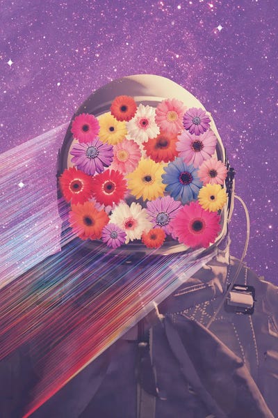 Daisies: Lost In Space by Emanuela Carratoni
