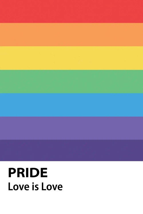 Pride Rainbow Flag