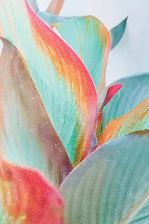 Pastel Leaves