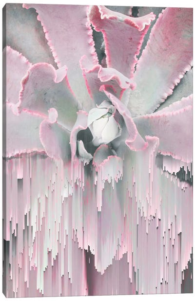 Glitched Succulent I Canvas Art Print - Pink Art