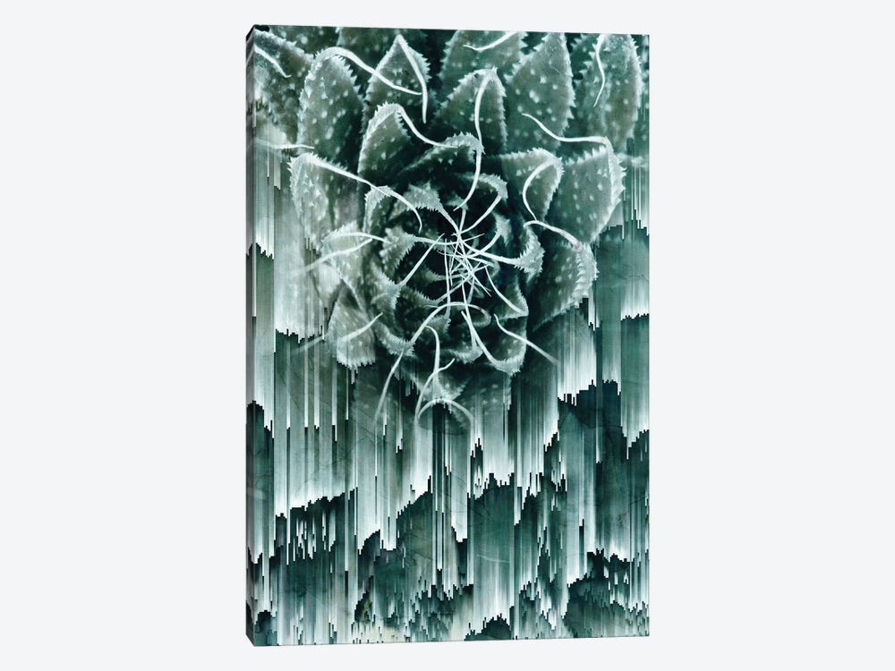 Glitched Succulent II by Emanuela Carratoni 1-piece Art Print