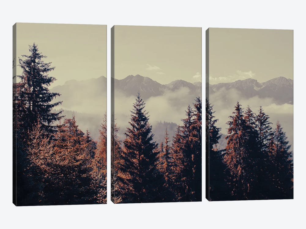Mountain Forest by Emanuela Carratoni 3-piece Canvas Wall Art