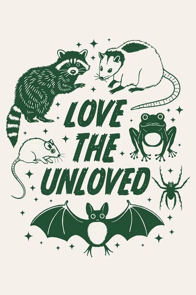 Bats: Love The Unloved by Emanuela Carratoni