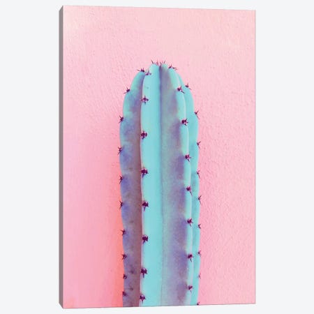 Lonely Cactus Canvas Print #CTI54} by Emanuela Carratoni Canvas Artwork