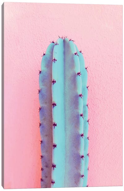 Lonely Cactus Canvas Art Print - Southwest Décor