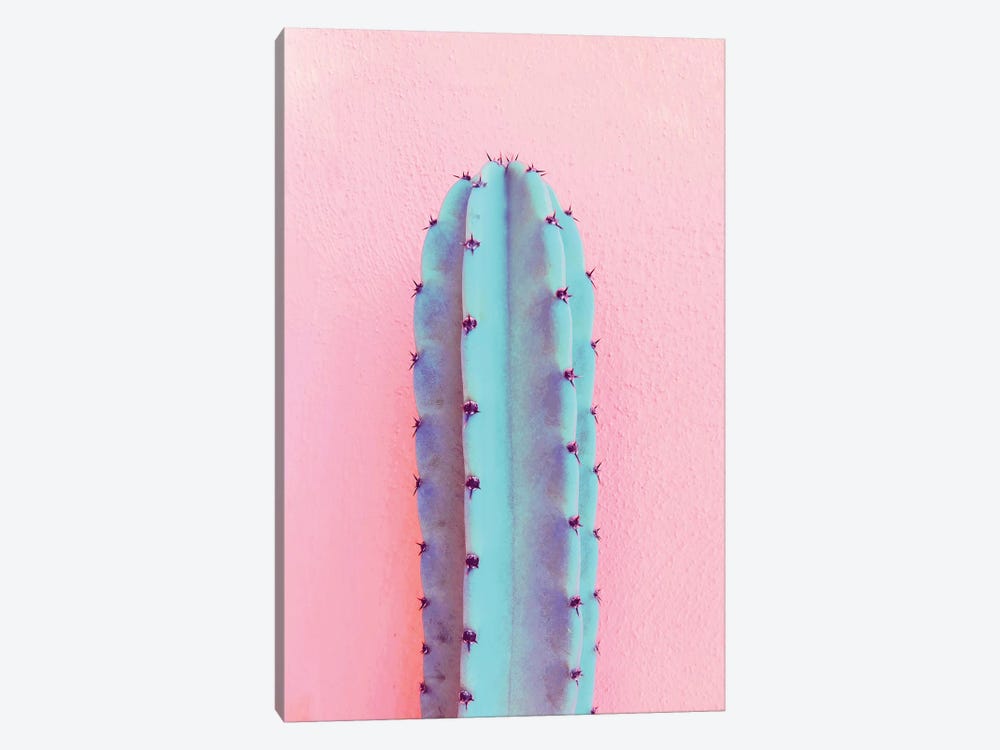 Lonely Cactus by Emanuela Carratoni 1-piece Canvas Wall Art