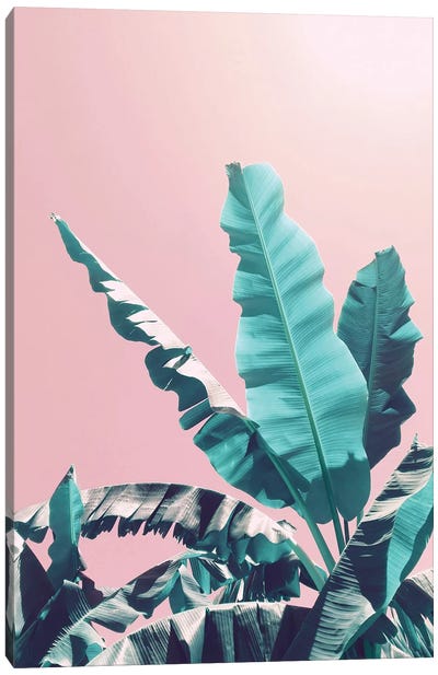 Bananas On Pink Canvas Art Print - Tropical Leaf Art