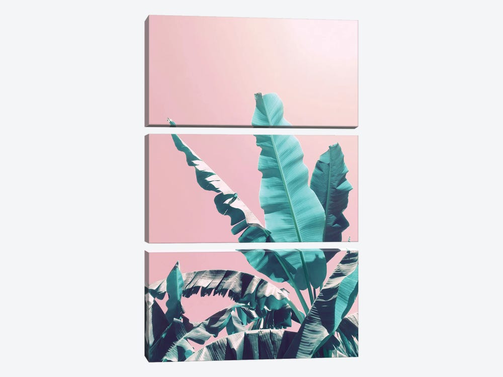 Bananas On Pink 3-piece Canvas Print