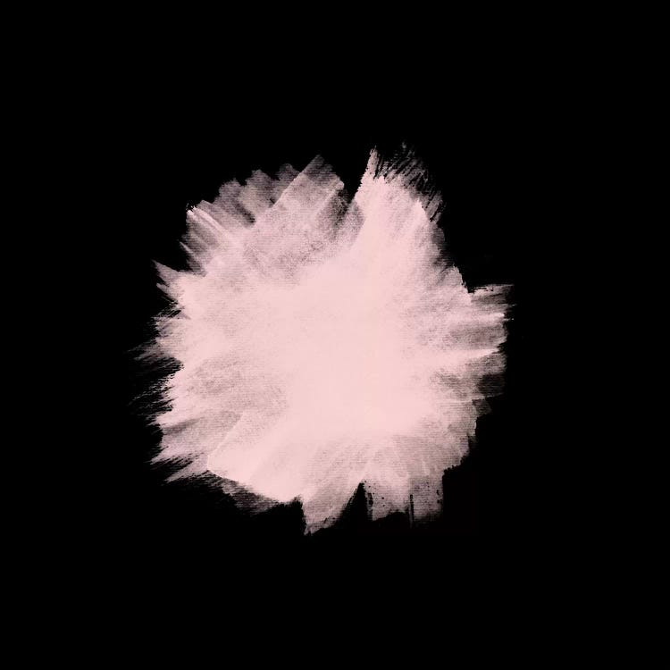 Pale Pink On Black by Emanuela Carratoni wall art