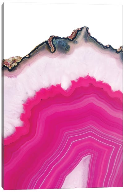 Pink Agate Slice Canvas Art Print - Black & Pink Art