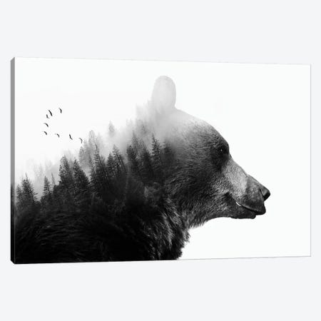 Big Bear I Canvas Print #CTI6} by Emanuela Carratoni Art Print