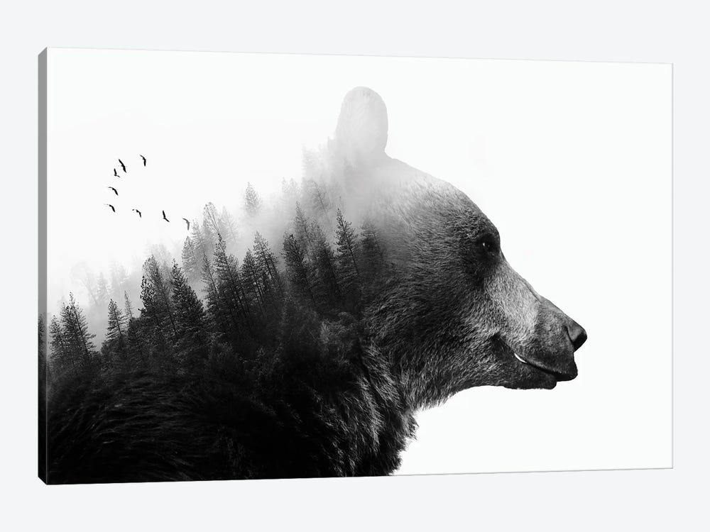 Big Bear I by Emanuela Carratoni 1-piece Canvas Art