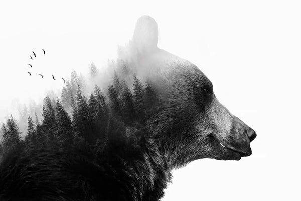 Double Exposure Photography: Big Bear I by Emanuela Carratoni