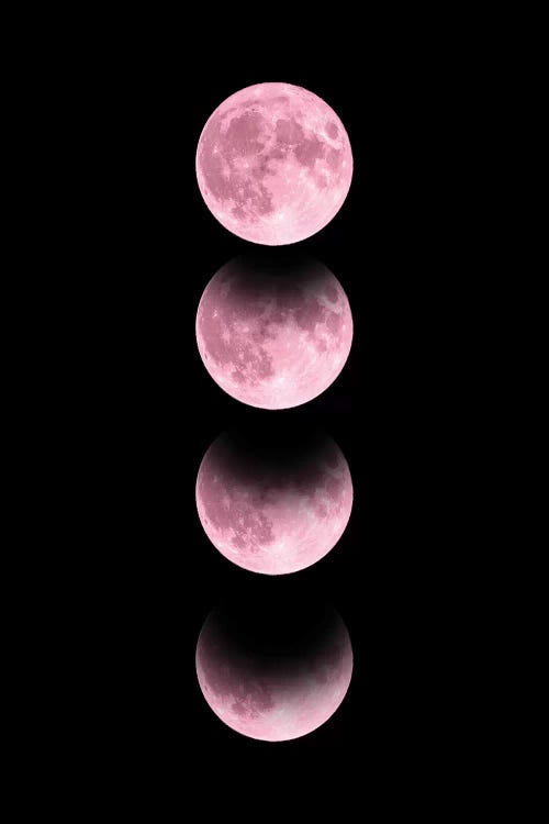 Pink Moon