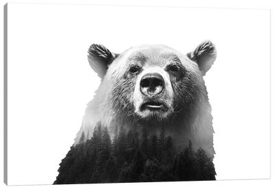Big Bear III Canvas Art Print - Trekking