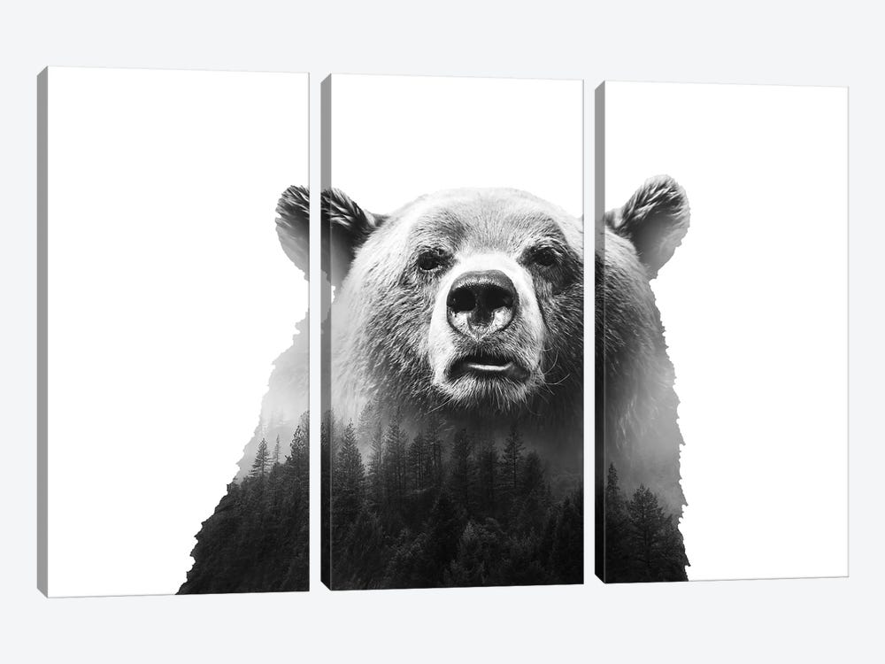 Big Bear III by Emanuela Carratoni 3-piece Art Print