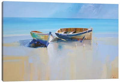 Afternoon Gulls Canvas Art Print - Beach Art