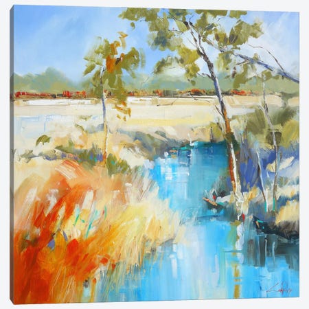Summer Water II Canvas Print #CTP20} by Craig Trewin Penny Canvas Art Print