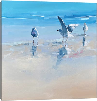 In The Shallows I Canvas Art Print - Gull & Seagull Art