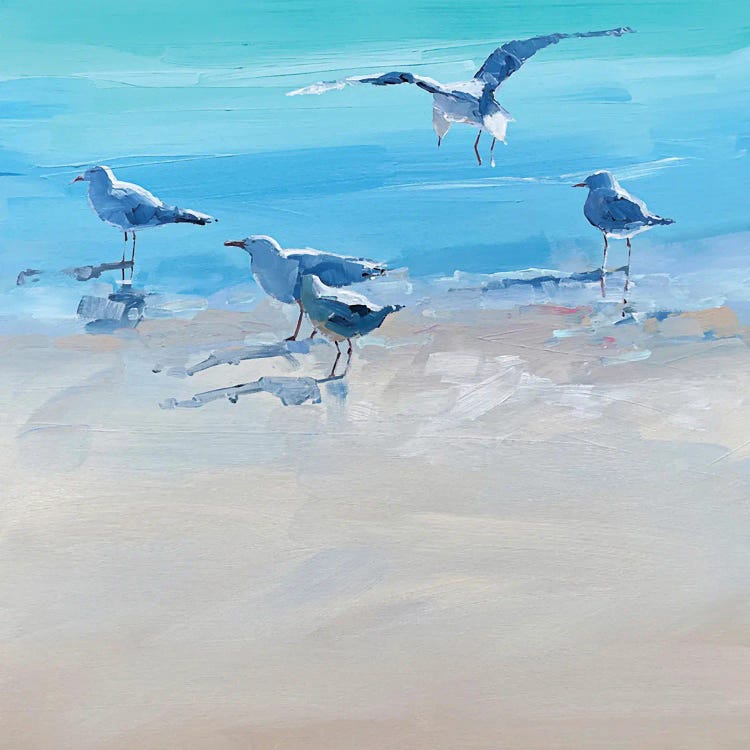 In The Shallows II