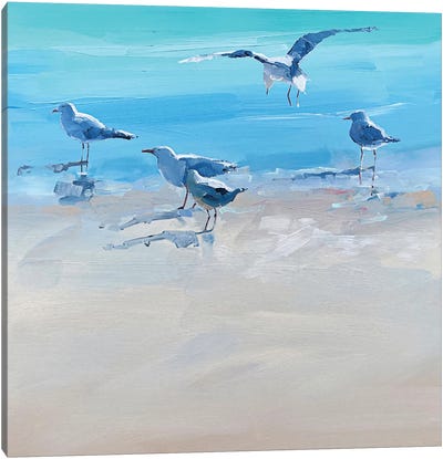 In The Shallows II Canvas Art Print - Gull & Seagull Art