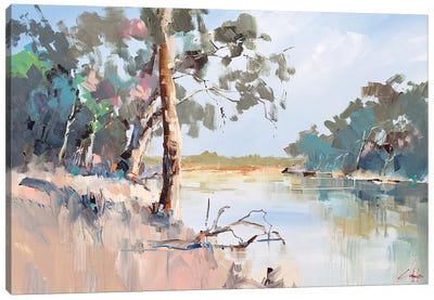 Summer River, The Murray II Canvas Art Print - Craig Trewin Penny