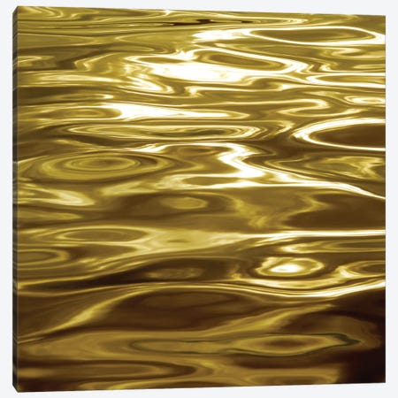 Liquid Gold Canvas Print #CTR12} by Charlie Carter Canvas Art