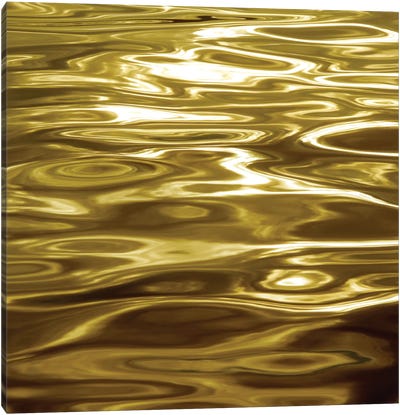 Liquid Gold Canvas Art Print