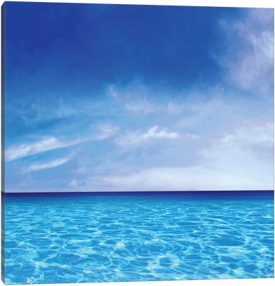 Sky And Water Canvas Art Print - Nature Close-Up Art