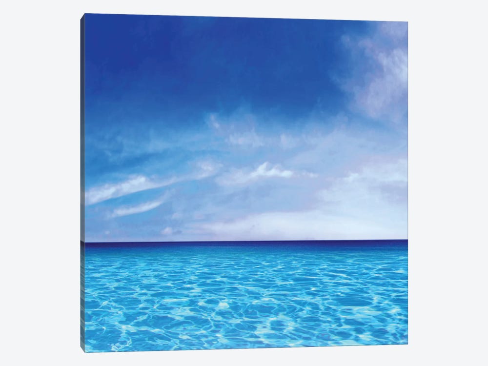 Sky And Water by Charlie Carter 1-piece Canvas Wall Art