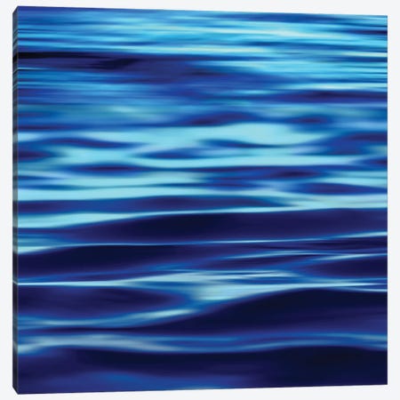 Deep Blue Sea Canvas Print #CTR9} by Charlie Carter Canvas Art