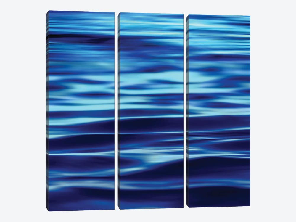Deep Blue Sea 3-piece Canvas Art