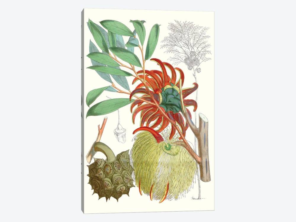 Tropical Variety IV 1-piece Art Print