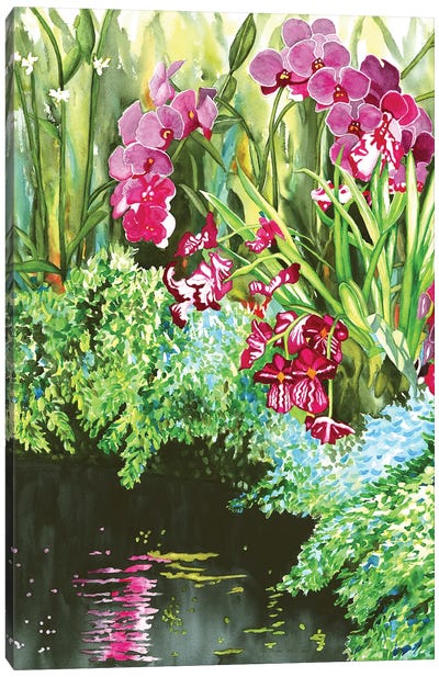 Orchid Bliss Canvas Art Print - Christine Reichow